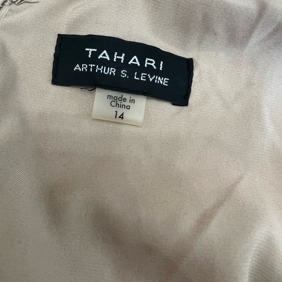 Tahari A-line Formal Dress with blush floral appliqués. Size 14 - Picture 8 of 8